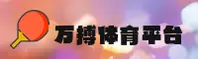 使用指南与常见问题